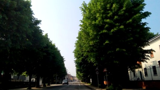Borgo Virgilio (Mantova) 22
