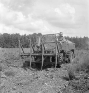 Bosbewerking, machines, werktuigen, auto's, arbeiders, Bestanddeelnr 251-9169