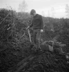 Bosbouw, arbeiders, pootwerkzaamheden, gereedschappen, bakjes, jonge planten, Bestanddeelnr 253-5640