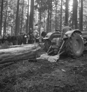 Bosbewerking, landbouwmachines, werktuigen, boomstammen, sleepwerkzaamheden, arb, Bestanddeelnr 253-5109