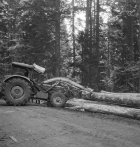 Bosbewerking, landbouwmachines, werktuigen, boomstammen, hijswerkzaamheden, arbe, Bestanddeelnr 253-5123