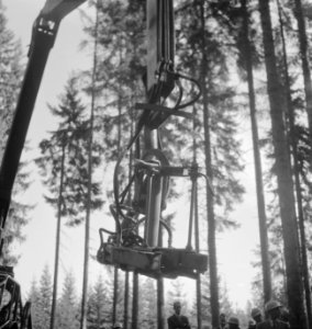 Bosbewerking, machines, werktuigen, arbeiders, Bestanddeelnr 253-5359