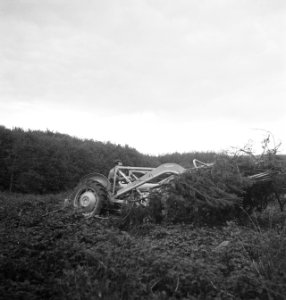 Bosbewerking, machines, werktuigen, Bestanddeelnr 251-8948