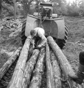 Bosbewerking, landbouwmachines, werktuigen, boomstammen, sleepwerkzaamheden, arb, Bestanddeelnr 253-5928