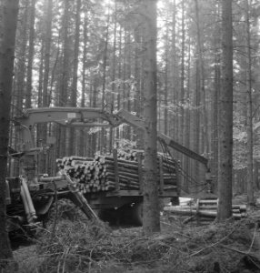Bosbewerking, machines, werktuigen, boomstammen, takelwagens, laadwerkzaamheden, Bestanddeelnr 253-5140