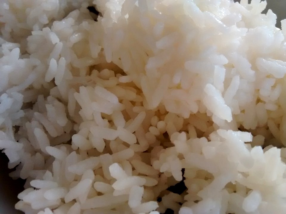 Botan Calrose rice 2