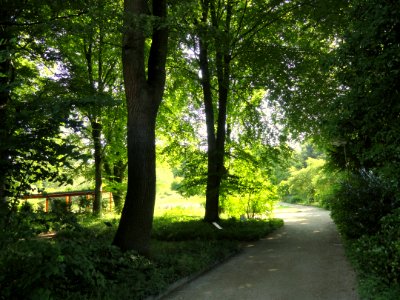 Botanischer Garten, Frankfurt am Main - DSC02413