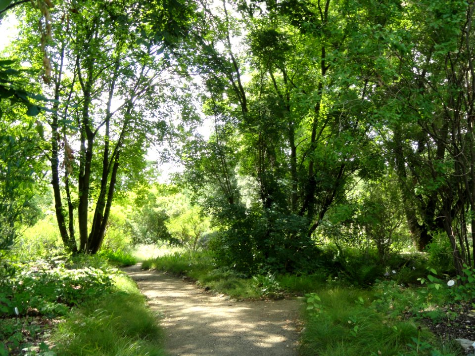 Botanischer Garten, Frankfurt am Main - DSC02670