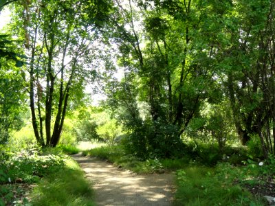 Botanischer Garten, Frankfurt am Main - DSC02670
