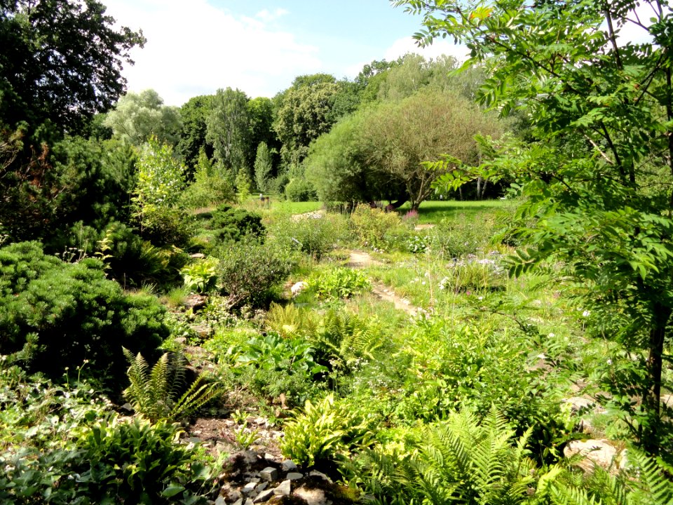 Botanischer Garten, Frankfurt am Main - DSC02662