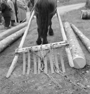 Bosbewerking, werktuigen, dieren, boomstammen, kettingen, paarden, Bestanddeelnr 251-9346