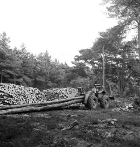 Bosbewerking, landbouwmachines, werktuigen, boomstammen, sleepwerkzaamheden, arb, Bestanddeelnr 253-5922