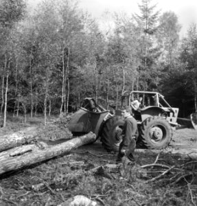 Bosbewerking, landbouwmachines, werktuigen, boomstammen, sleepwerkzaamheden, arb, Bestanddeelnr 253-5920