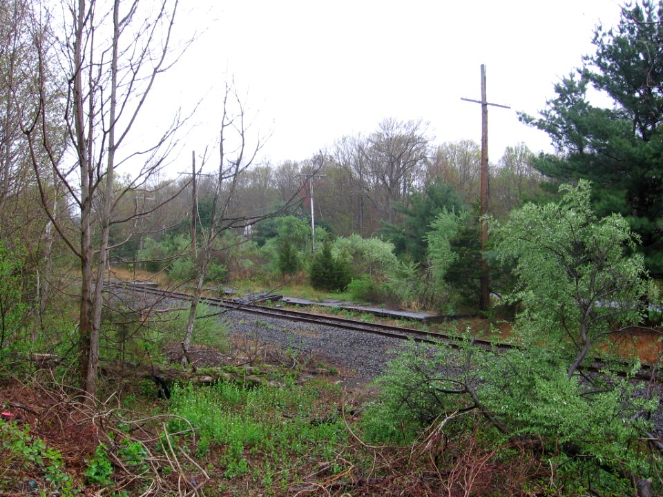 Botsford station platform 054
