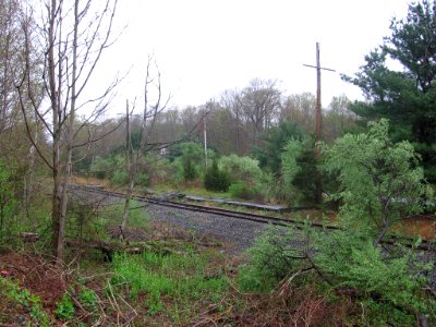 Botsford station platform 054