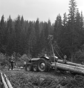 Bosbewerking, machines, werktuigen, kabels, katrollen, Bestanddeelnr 251-9339