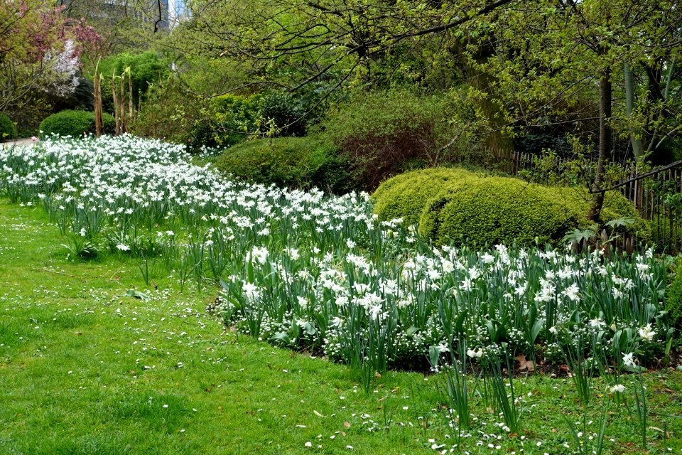 Botanical Garden of Brussels - Brussels, Belgium - DSC06824