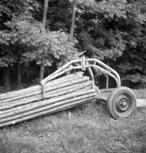 Bosbewerking, machines, werktuigen, karren, boomstammen, vervoeren, Bestanddeelnr 253-4064