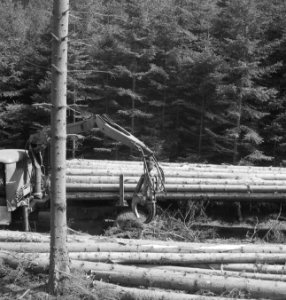 Bosbewerking, machines, werktuigen, boomstammen, takelwerkzaamheden, hijswerktui, Bestanddeelnr 253-4495