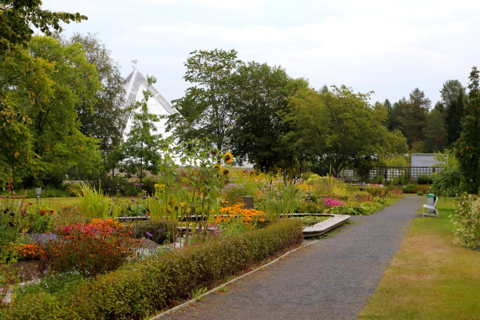 Botanical Gardens of Oulu University 20190818 03