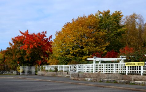 Botanical Gardens of Oulu University 20160917 02