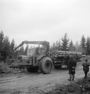 Bosbewerking, vrachtwagens, boomstammen, Bestanddeelnr 253-5289