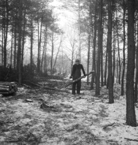 Bosbewerking, arbeiders, sneeuw, boomstammen, Bestanddeelnr 253-5992
