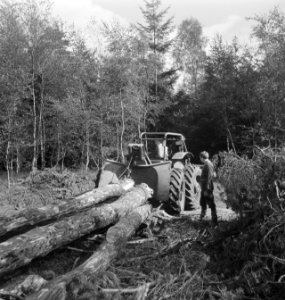 Bosbewerking, landbouwmachines, werktuigen, boomstammen, sleepwerkzaamheden, arb, Bestanddeelnr 253-5919