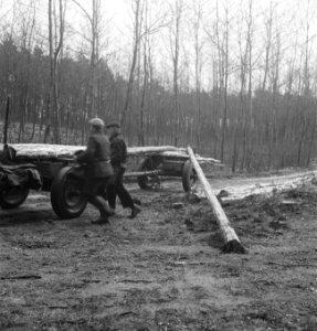 Bosbewerking, arbeiders, paard-en-wagen, boomstammen, Bestanddeelnr 251-9693