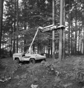 Bosbewerking, machines, werktuigen, arbeiders, werkzaamheden, voertuigen, Bestanddeelnr 253-5976