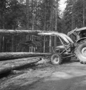 Bosbewerking, landbouwmachines, werktuigen, boomstammen, hijswerkzaamheden, Bestanddeelnr 253-5122