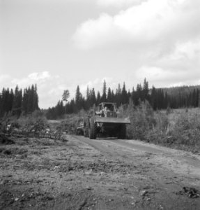 Bosbewerking, machines, werktuigen, arbeiders, bulldozers, Bestanddeelnr 253-5219