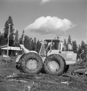 Bosbewerking, machines, werktuigen, arbeiders, boomstammen, voertuigen, Bestanddeelnr 253-5360