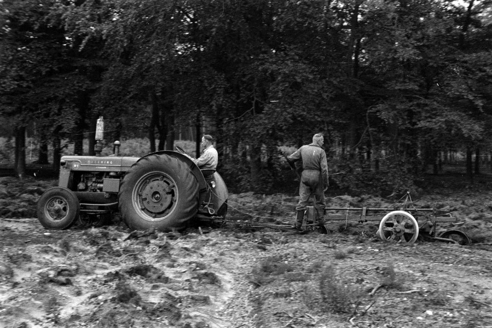 Bosbewerking, machines, werktuigen, arbeiders, Bestanddeelnr 170-0994