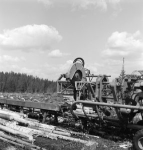 Bosbewerking, machines, werktuigen, boomstammen, werkzaamheden, Bestanddeelnr 253-5842