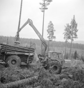 Bosbewerking, vrachtwagens, boomstammen, Bestanddeelnr 253-5285