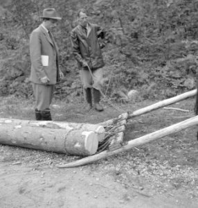 Bosbewerking, werktuigen, dieren, boomstammen, paarden, Bestanddeelnr 251-9348