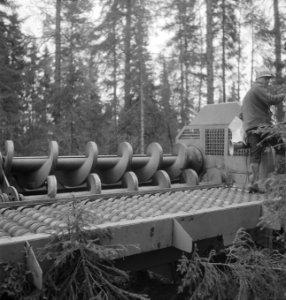 Bosbewerking, machines, werktuigen, arbeiders, Bestanddeelnr 253-5303