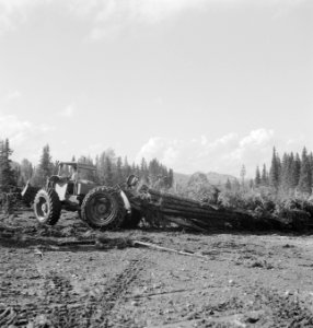 Bosbewerking, landbouwmachines, werktuigen, boomstammen, Tractors, Bestanddeelnr 253-5220