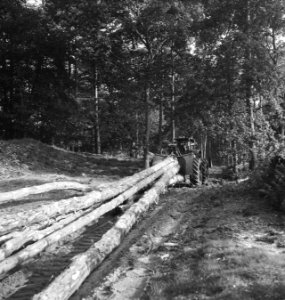 Bosbewerking, landbouwmachines, werktuigen, boomstammen, sleepwerkzaamheden, Tra, Bestanddeelnr 253-5946