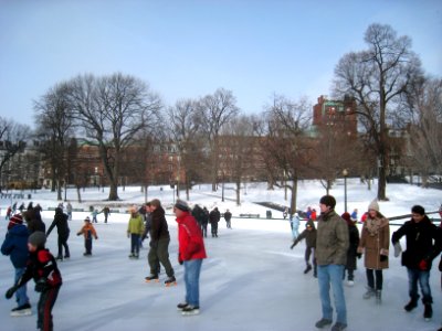 Boston Common Frog Pond - IMG 8277