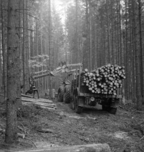 Bosbewerking, machines, werktuigen, boomstammen, takelwagens, laadwerkzaamheden, Bestanddeelnr 253-5139