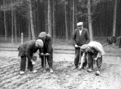 Bosbouw, kwekerijbedrijf, verspenen, douglas, Bestanddeelnr 193-1011