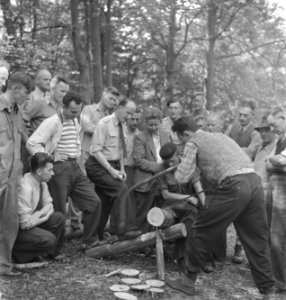 Bosarbeiders bezig met het verzagen van een boomstam onder grote belangstelling , Bestanddeelnr 251-8199