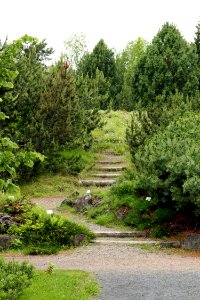 Botanical Gardens of Oulu University 20130623 03