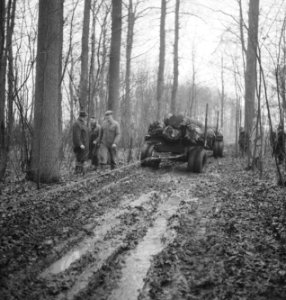 Bosbewerking, voertuigen, bospaden, mannen, Bestanddeelnr 251-8705