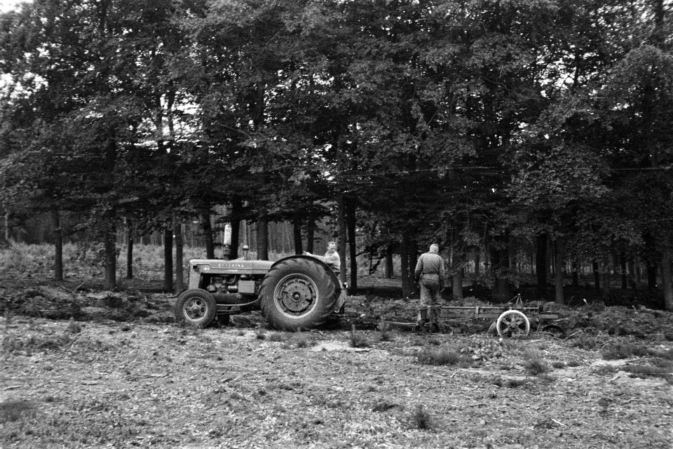 Bosbewerking, machines, werktuigen, arbeiders, Bestanddeelnr 170-0996