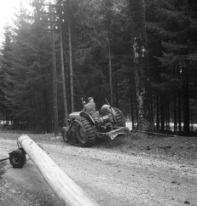 Bosbewerking, landbouwmachines, werktuigen, touwen, tractoren, Bestanddeelnr 251-9062
