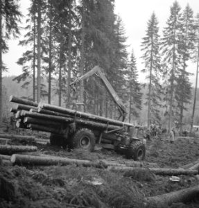 Bosbewerking, vrachtwagens, boomstammen, Bestanddeelnr 253-5287