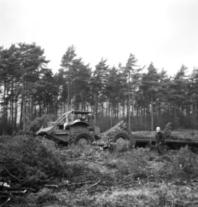 Bosbewerking, machines, werktuigen, arbeiders, werkzaamheden, Bestanddeelnr 253-6015